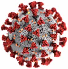 Koronavirus buňka